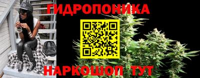 индика Бузулук