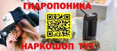 тгк Будённовск