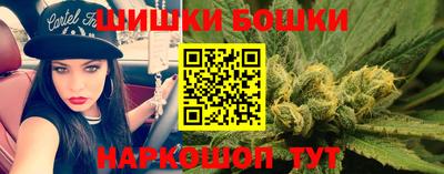 тгк Будённовск