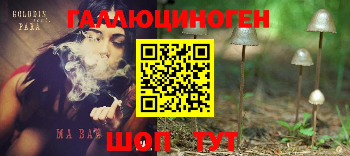 Галлюциногенные грибы мухоморы  Вход с VPN  Галлюциногенные грибы мицелий  Подольск 